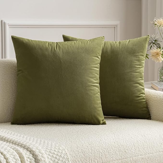 MIULEE Velvet Throw Pillow Covers 20x20 Inch, Pack of 2 - Olive Green, Soft Solid Decorative Pillow Covers Cushion Cases Modern Luxury Home Decor for Couch Sofa Bedroom Livingroom