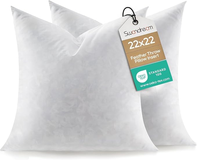 22x22 Feather Throw Pillow Inserts, Decorative Pillow Inserts for Covers, Fuller Fit with Soft Support for Bed and Couch, Set of 2