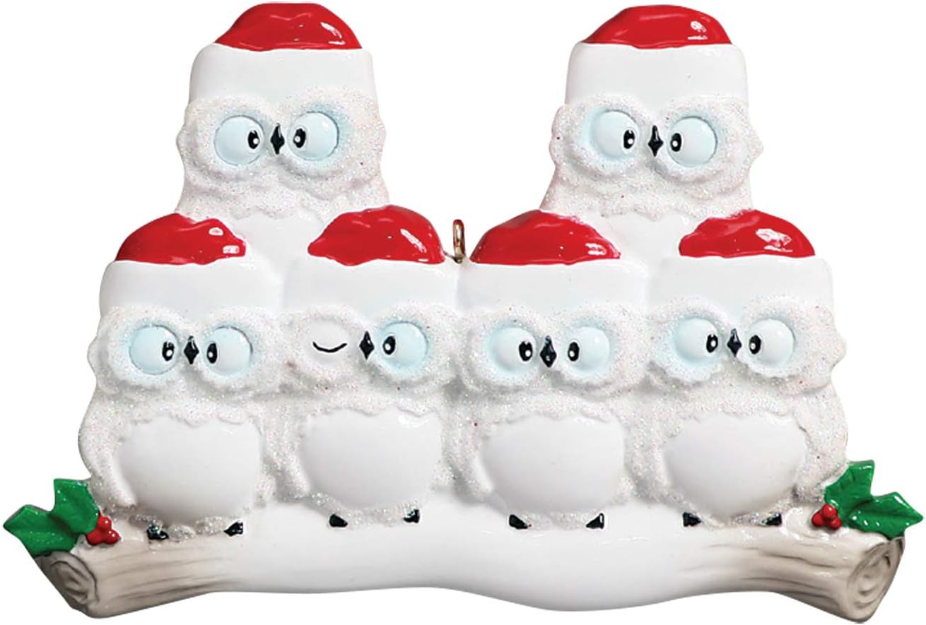 3D Owl Family of 6 Ornament 2025 Personalized Family Christmas Ornaments 2025 | White Holiday Keepsake Woodland Owls Personalized Tree Ornaments for Grandchildren, Siblings & Grandkids of Six Ornament