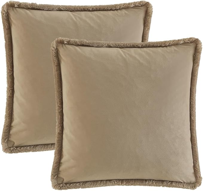 JUSPURBET Stone Velvet Throw Pillow Covers 22x22 Inch Set of 2 with Soft Tassel Fringe Luxury Boho Pillowcase for Sofa Couch Bed Home Decor Machine Washable