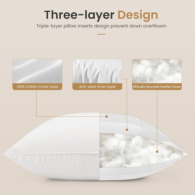 BHZ Euro Throw Pillow Inserts, 16x16 Down Feather Alternative Pillow Inserts Set of 2, Decorative Soft Large Square White Throw Pillows Insert for Couch Bed Dorm Sofa with Breathable Cover