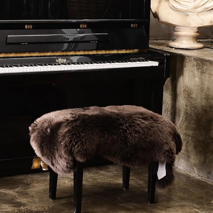 LLB Genuine Sheepskin Area Rug Wool Rug Fur Carpet Fluffy Shaggy Fur Rug for Living Room Kids Bedroom Real Sheepskin Throw Lambskin Rugs Sofa Chair Seat Covers (Chocolate Brown, 2 x 3 ft Sheepskin)
