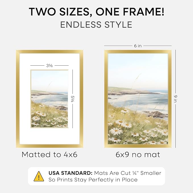 Homeforia 6x9 Picture Frame Gold, High End Metal 6 x 9 Frames with Mat 4 by 6 for Print, Photo Frame 6x9 Gold Matted to 4x6 inches Art, 6by9 Wall or Tabletop Frames, Tempered Glass, Wall Kit, Set of 2
