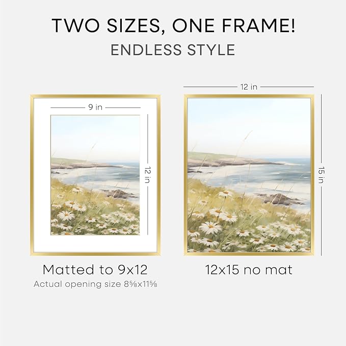 Homeforia 12x15 Picture Frame Gold, High End Metal 12x15 Poster Frames with Mat 9x12 for Photo, 12 x 15 Gold Frame Matted to 9 by 12 Print, 15x12 Thin Hanging Frame, Tempered Glass, Wall Kit, Set of 1