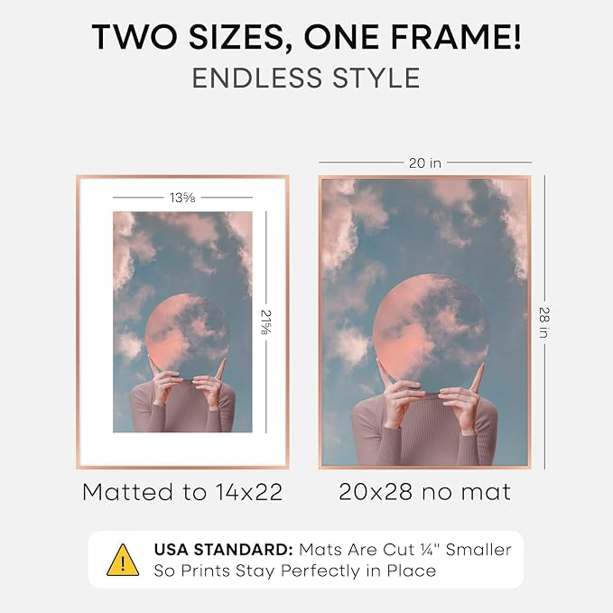 Homeforia 20x28 Frame Rose Gold, High End Metal 20x28 Poster Frames with Mat 14x22 inch Photo, 20 x 28 Rose Gold Picture Frame Matted to 14 by 22 Print, 28x20 Frame, Tempered Glass, Wall Kit, Set of 1