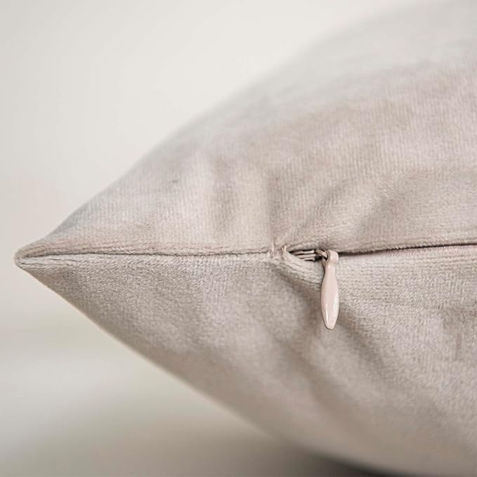 Cashmere Decorative Velvet Throw Pillow Covers 24x24 inch Set of 2 with Zipper Luxury Soft Solid Square Cushion Covers Case for Sofa Couch Bed Living Room