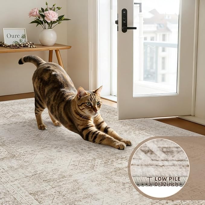 5x7 Area Rugs for Living Room: Vintage Boho Neutral Washable Rug Indoor Soft Large Area Rug Carpet for Bedroom Nursery Farmhouse Dining Room Office Floor Non-Slip Low Pile Under Table Rug Brown
