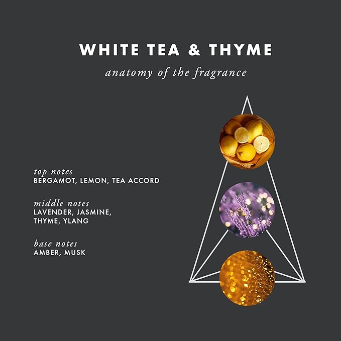 ScentAir Whisper Essential Monthly Plug-in Refill, White Tea & Thyme | Fragrance Diffuser Cartridge Refill for Home and Office