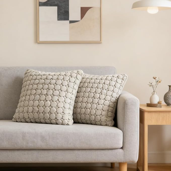 Throw Pillow Covers 18x18 Set of 2 Velvet Square Pillowcase Soft Skin-Friendly Thickened Decorative Farmhouse Cushion Covers Soft Bubble Texture for Couch Bedroom Living Room,Beige Gray