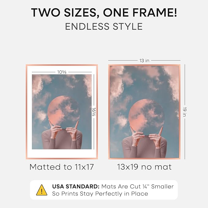 Homeforia 13x19 Picture Frame Rose Gold, High End Metal 13x19 Poster Frames with Mat 11x17 inch Photo, 13 x 19 Rose Gold Frame Matted to 11 by 17 Print, 19x13 Frame, Tempered Glass, Wall Kit, Set of 1