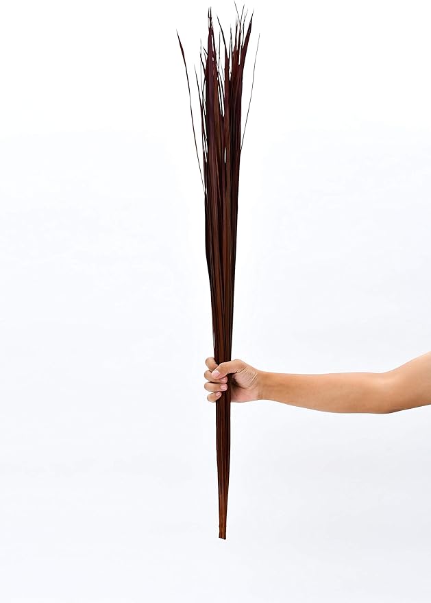Leewadee Tall Vase Filler, Natural Grass Stems – 2 Bunches of Colored Branches for Vases, Carefully Dried Twigs for Home and Bar Decoration, 45 inches, Bordeaux