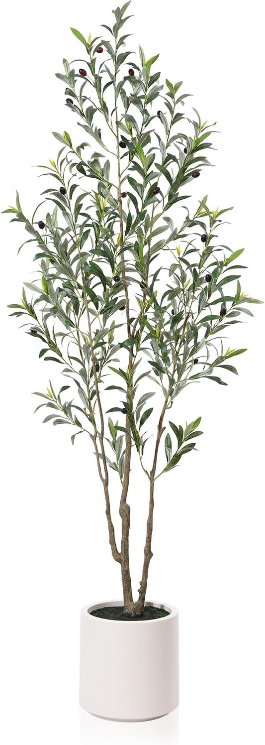 LOMANTO Artificial Olive Trees, 6 ft Tall Fake Olive Trees for Indoor, Faux Olive Silk Tree, Large Olive Plants with White Planter for Home Decor and Housewarming, 1 Pack