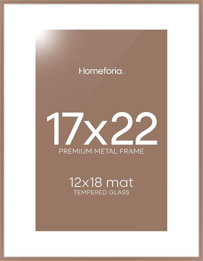 Homeforia 17x22 Picture Frame Mocha, High End Metal 17x22 Poster Frames with Mat 12x18 Photo, 17 x 22 Mocha Frame Matted to 12 by 18 Print, 22by17 Thin Hanging Frames, Tempered Glass, Wall Kit, Set of 2