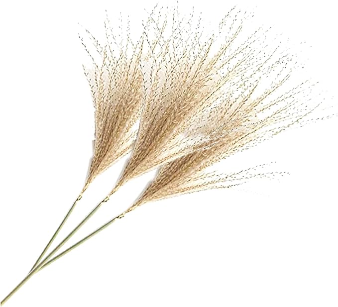 Uieke 500Pcs Natural Dried Pampas Grass Plume 17inch Tall Dried Flowers Bulk Reed Dried Plants for Wedding Flower Arrangements Farmhouse Wreath Door Centerpiece Home Décor Brown