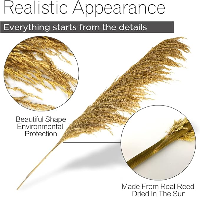Golden Pampas Grass Decor Tall,Dried Pampas Grass, Pompas Floral for Vase, Elegant Feather Flowers for Wedding Decorations, Living Room Decor (Natural Gold, 8pcs 31.5"(80cm))