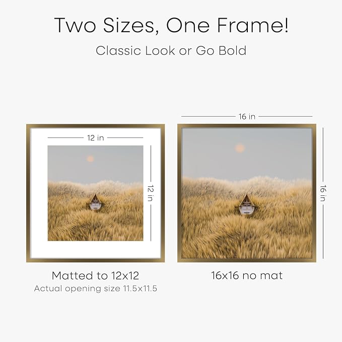 Homeforia 16x16 Picture Bronze Frames, High End Metal 16 x 16 Square Poster Frame with Mat 12 x 12 Photo, 16x16 Brass Frame Matted to 12x12 Print, 16by16 Thin Frames, Tempered Glass, Wall Kit, Set of 2