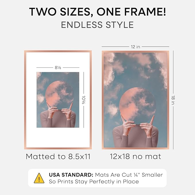 Homeforia 12x18 Picture Frame Rose Gold, High End Metal 12x18 Poster Frames with Mat 8.5x11 in Photo, 12 x 18 Rose Gold Frame Matted to 8.5 by 11 Print, 18x12 Frame, Tempered Glass, Wall Kit, Set of 1