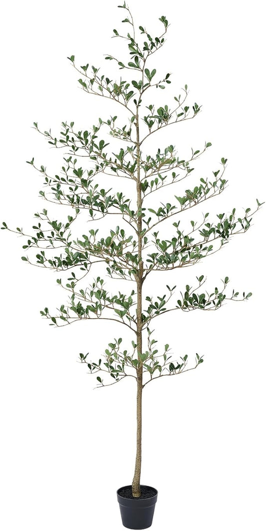 Verinatural Artificial Black Olive Tree 6ft - Shady Lady UV Resistant Faux Olive Trees Indoor Outdoor Decor - Modern Aesthetic Tall Fake Plants with Pot for Home Office Living Room Patio Floor, VN140