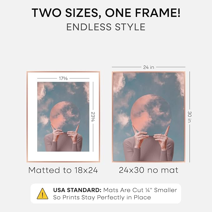 Homeforia 24x30 Frame Rose Gold, High End Metal 24x30 Picture Frames with Mat 18x24 inch Photo, 24 x 30 Rose Gold Poster Frame Matted to 18 by 24, 30x24 Large Frame, Tempered Glass, Wall Kit, Set of 1