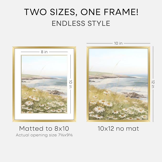 Homeforia 10x12 Picture Frame Gold, High End Metal 10x12 Poster Frames with Mat for 8x10, 10 x 12 Gold Frame Matted to 8 x 10 inch Photo, 10by12 Thin Hanging Frames, Tempered Glass, Wall Kit, Set of 3