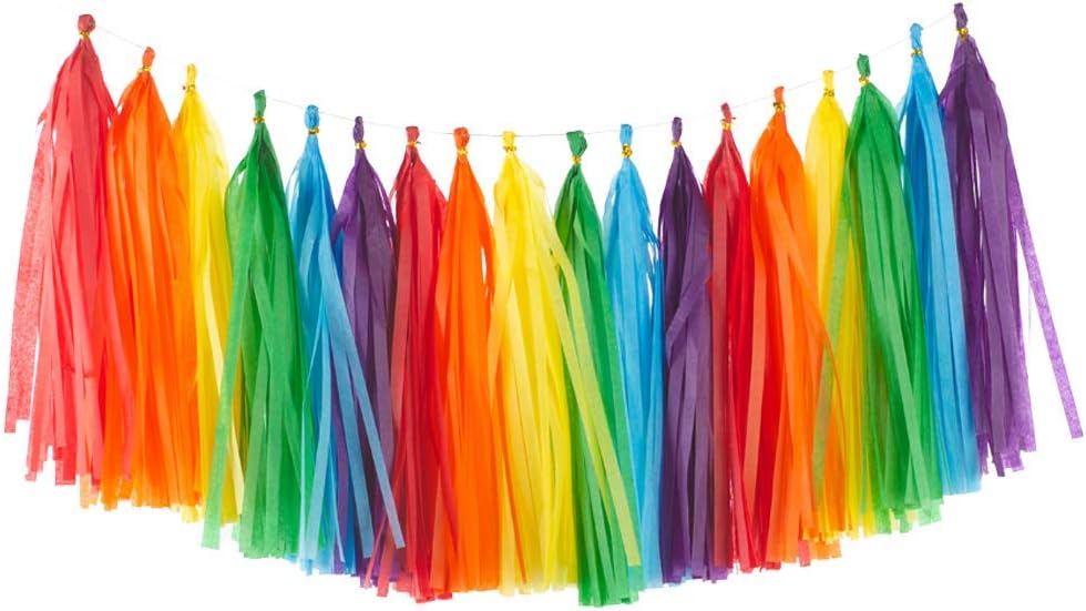 Rainbow Tissue Paper Tassels Colorful Party Tassel Garland Banner Decorations, DIY Kits,Pack of 30