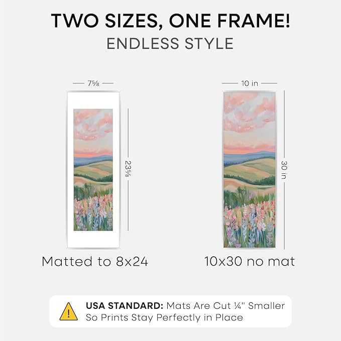 Homeforia 10 x 30 Picture Frame Silver, High End Metal 10x30 Poster Frames with Mat 8x24 Photo, 10 x 30 Silver Frames Matted to 8 x 24 Print, 30by10 Panoramic Frame, Tempered Glass, Wall Kit, Set of 2