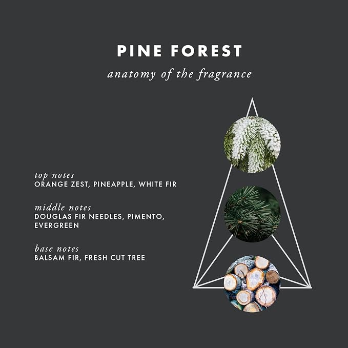 ScentAir Whisper Essential Monthly Plug-in Refill, Pine Forest | Fragrance Diffuser Cartridge Refill for Home and Office