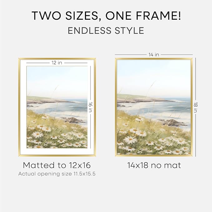 Homeforia 14x18 Picture Frame Gold, High End Metal 14x18 Poster Frames with Mat 12x16 Photo, 14 x 18 Gold Frame Matted to 12 by 16 Print, 18by14 Thin Hanging Frames, Tempered Glass, Wall Kit, Set of 1