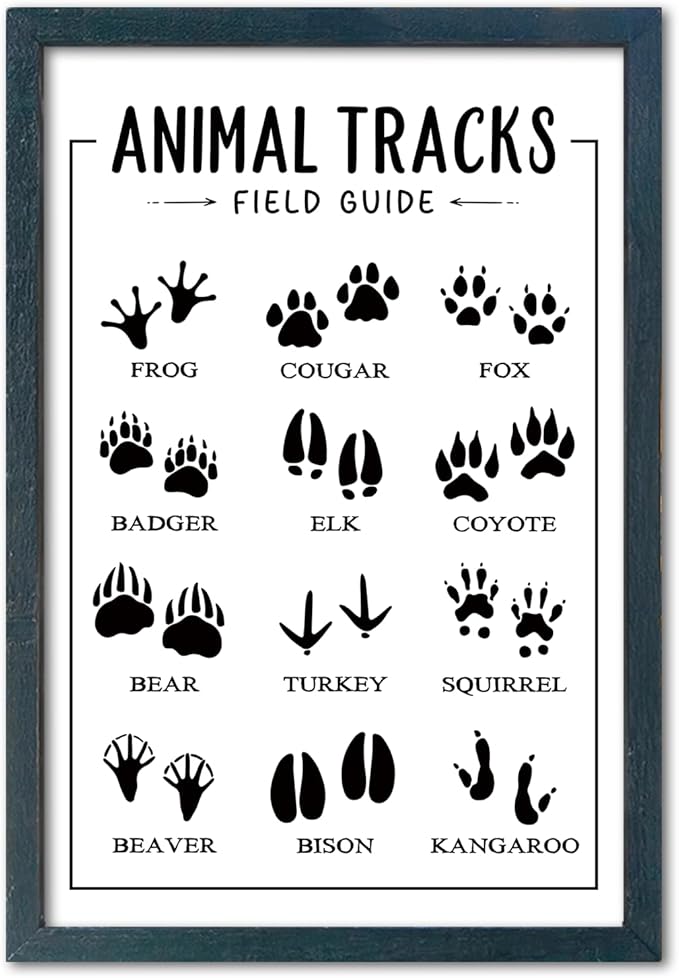 YWJKWLGS Animal Tracks Field Guide Wall Art, 11x16 Framed Kids Room Decor | Wildlife Poster, Rustic Kids Room Decor