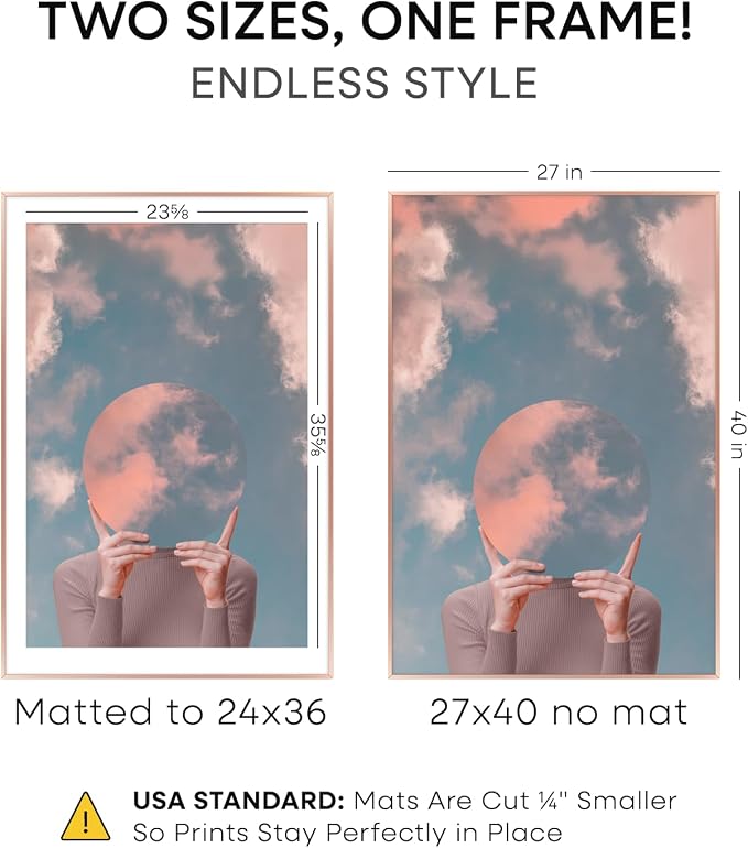 Homeforia 27x40 Poster Frame Rose Gold, High End Metal 27x40 Large Picture Frames with Mat 24x36 inch Photo, 27 x 40 Thin Frame Matted to 24 x 36 Print, 40x27 Frame, Tempered Glass, Wall Kit, Set of 1