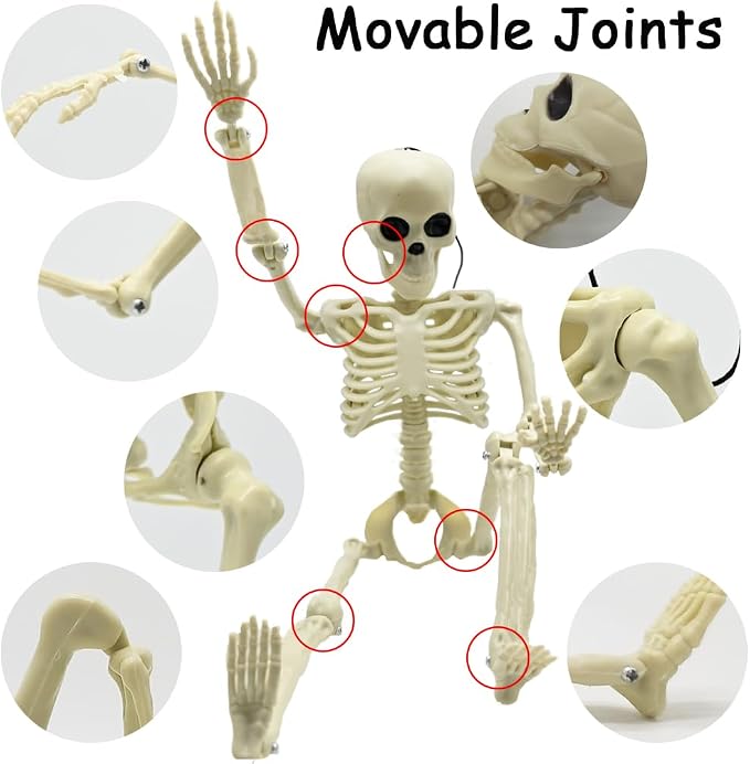 CAMIRUS 4PCS Halloween Skeletons Decorations, 16" Full Body Plastic Mini Little Skeleton Posable Joints Poseable Skeleton for Halloween Party Hanging Decoration Yard Lawn Garden Patio Decor
