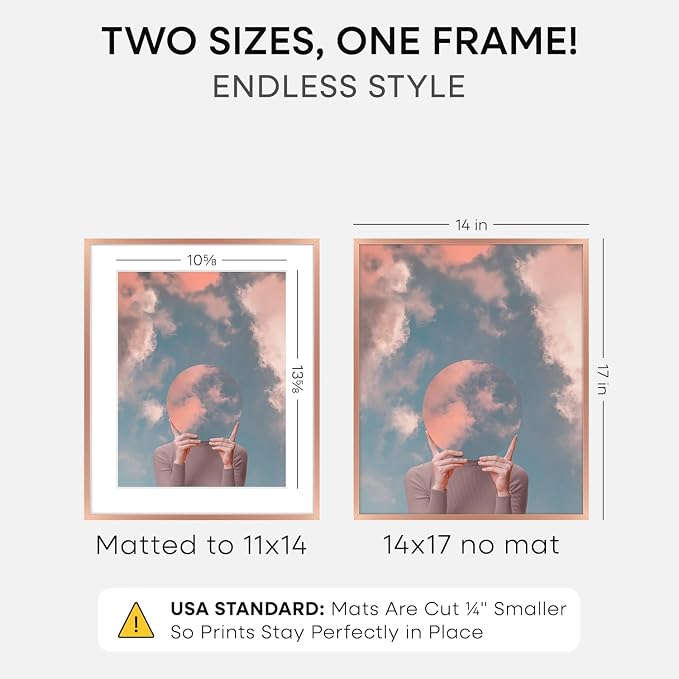 Homeforia 14x17 Picture Frame Rose Gold, High End Metal 14x17 Poster Frames with Mat 11x14 inch Photo, 14 x 17 Rose Gold Frame Matted to 11 by 14 Print, 17x14 Frame, Tempered Glass, Wall Kit, Set of 1