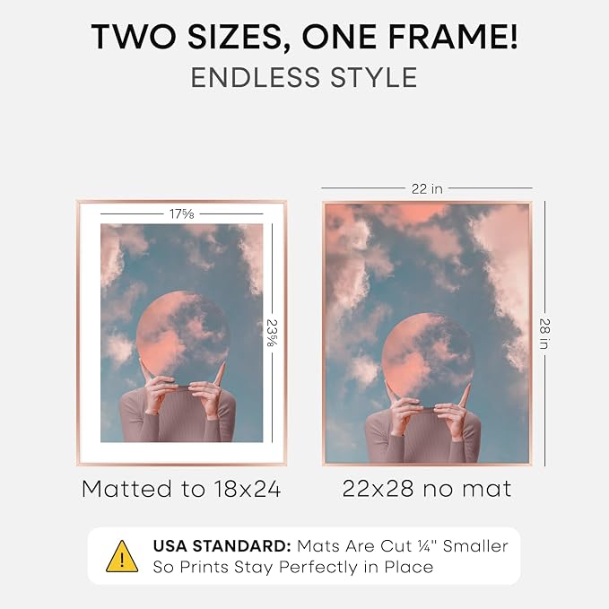 Homeforia 22x28 Rose Gold Picture Frame, High End Metal 22x28 Poster Frames with Mat 18x24 inch Photo, 22 x 28 Thin Frame Matted to 18 x 24 Print, 28x22 Large Frame, Tempered Glass, Wall Kit, Set of 1