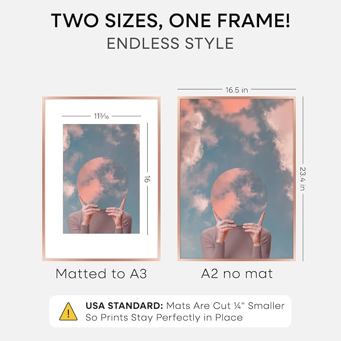 Homeforia A2 Poster Frame Rose Gold, High End Metal A2 Picture Frame Rose Gold with Mat A3 for Print, 16.5x23.4 Frame Matted to 11.7x16.5 Photo, 16.5 by 23.5 Frames, Tempered Glass, Wall Kit, Set of 1