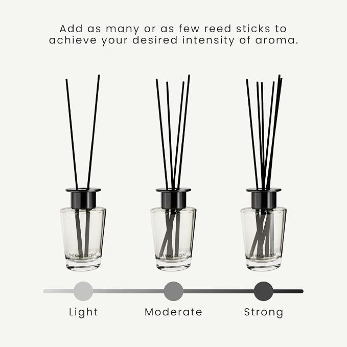 The Magic Scent Oud Wood Reed Diffuser for Home - Luxury Scent Oil with Premium Fiber Reeds for Lasting Gentle Dispersal - Natural, Toxin-Free Reed Diffuser Oil