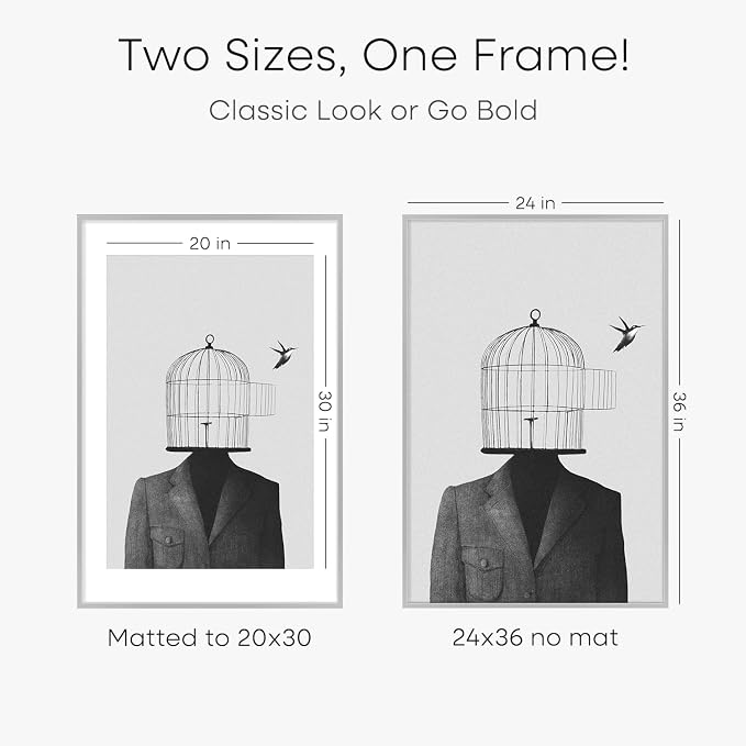 Homeforia Poster Silver Frame 24x36, High End Metal 24 x 36 Large Picture Frame with Mat 20 x 30 Photo, 24x36 Silver Frames Matted to 20x30 Print, 36x24 Thin Frames, Tempered Glass, Wall Kit, Set of 2