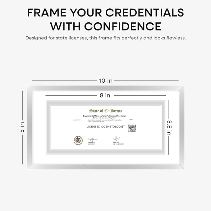 Homeforia 5x10 Business License Frame Silver, High End Metal 5 x 10 Document Certificate Frames with Mat 4x9, 5by10 Professional License Frames for Wall or Tabletop, Tempered Glass, Wall Kit, Set of 2