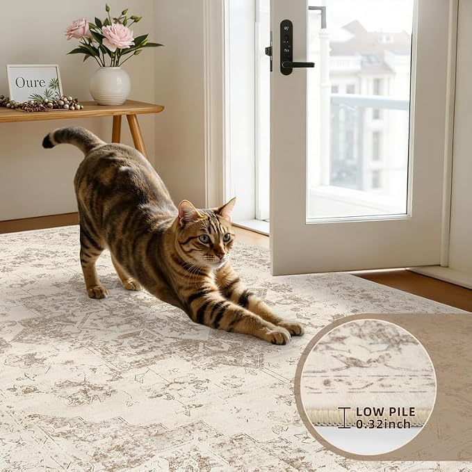 Round Area Rug for Living Room: 8ft Vintage Boho Neutral Washable Circle Rug Soft Large Circular Carpet for Bedroom Nursery Farmhouse Dining Room Office Floor Non-Slip Low Pile Under Table Beige/Ivory
