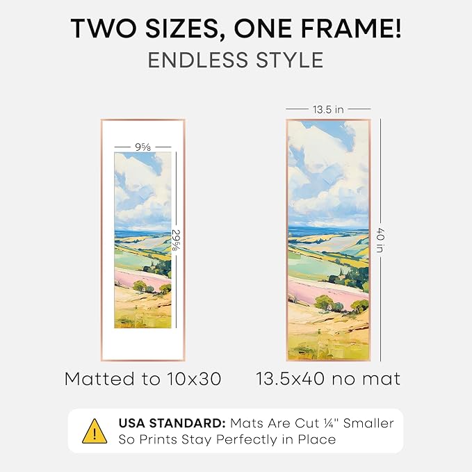 Homeforia 13.5x40 Rose Gold Picture Frame, High End Metal 13.5x40 Panoramic Poster Frames with Mat 10x30 Photo, 13.5 x 40 Frame Matted to 10 x 30 Art, 40x13.5 Frame, Tempered Glass, Wall Kit, Set of 1