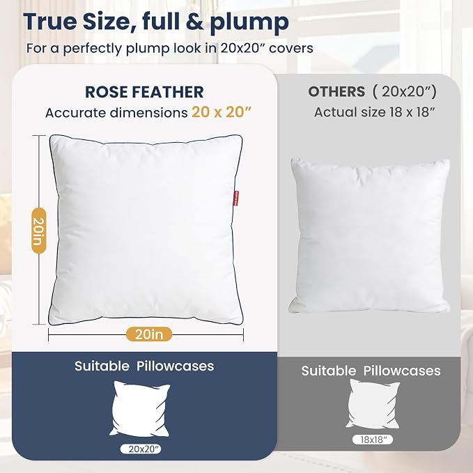 Down Pillow Inserts 20x20, Set of 2, 100% Goose Down Feather Throw Pillows Inserts, Triple-Layer Downproof, Decorative Pillow Insert with Soft Cotton Cover for Couch Sofa Bed Living Room
