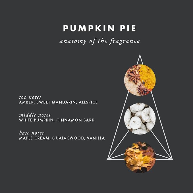 ScentAir Whisper Essential Monthly Plug-in Refill, Pumpkin Pie | Fragrance Diffuser Cartridge Refill for Home and Office