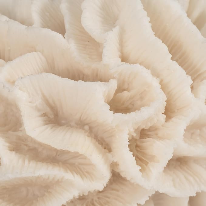 Polyresin Coral Figurine Sculpture – Decorative Accent for Shelf or Table, Coastal-Inspired Design for Living Room or Bedroom – Accent Piece for Any Room, Elegant Home Decor – 6x5x4, Ivory Tan