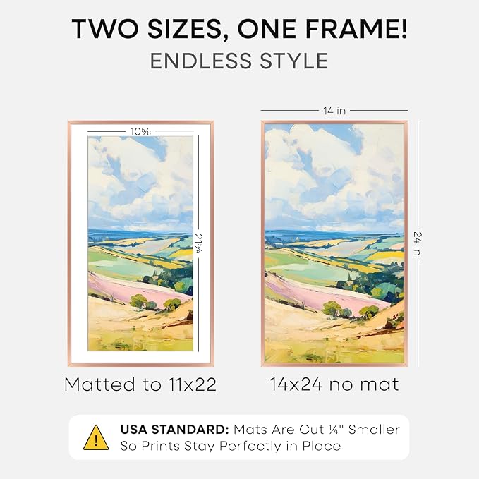 Homeforia 14x24 Picture Frame Rose Gold, High End Metal 14x24 Poster Frames with Mat 11x22 Photo, 14 x 24 Rose Gold Frame Matted to 11 by 22 Print, 24x14 Thin Frame, Tempered Glass, Wall Kit, Set of 1