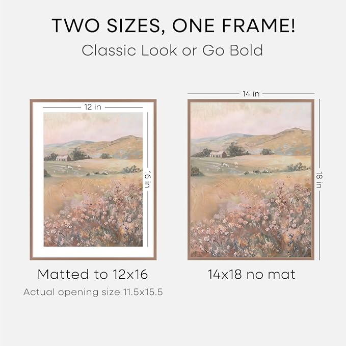 Homeforia 14x18 Picture Frame Mocha, High End Metal 14x18 Poster Frames with Mat 12x16 Photo, 14 x 18 Mocha Frame Matted to 12 by 16 Print, 18by14 Thin Hanging Frames, Tempered Glass, Wall Kit, Set of 2