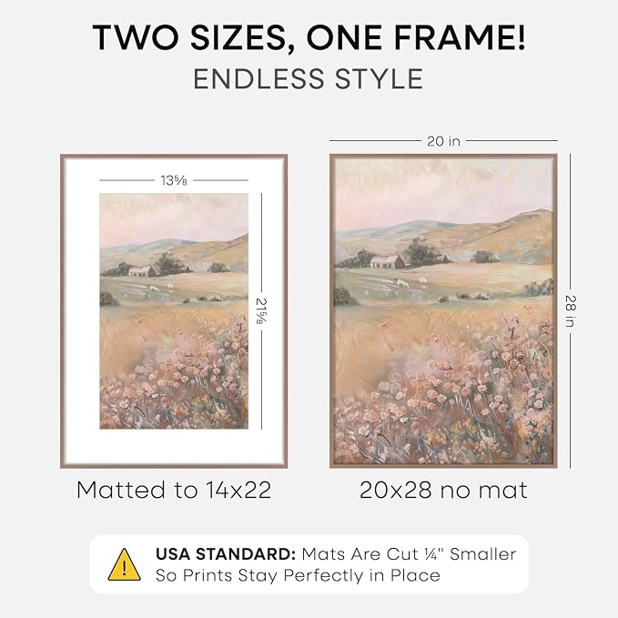 Homeforia 20 x 28 Picture Frame Mocha, High End Metal 20x28 Poster Frames with Mat 14x22 for Photo, 20 x 28 Mocha Frame Matted to 14 x 22 Print, 28x20 Hanging Frame, Tempered Glass, Wall Kit, Set of 1