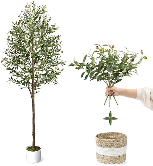 6FT Artificial Olive Tree - Indoor Tall Faux Olive Trees with Basket&3PCS 18Inch Olive Branches, Large Fake Olive Silk Tree Realistic Olive Plants for Home Decor Office Living