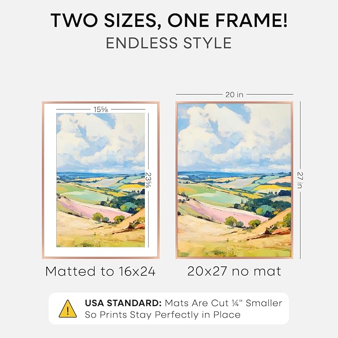 Homeforia 20x27 Picture Frame Rose Gold, High End Metal 20x27 Poster Frames with Mat 16x24 Photo, 20 x 27 Rose Gold Frame Matted to 16 by 24 Print, 27x20 Thin Frame, Tempered Glass, Wall Kit, Set of 1