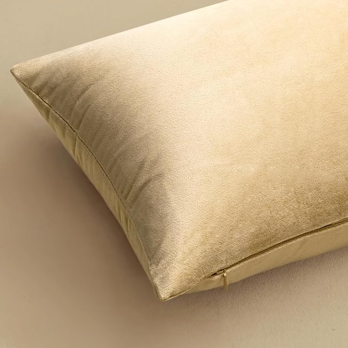 MIULEE Velvet Throw Pillow Covers 16x16 Inch, Pack of 2 - Beige, Soft Solid Decorative Pillow Covers Cushion Cases Modern Luxury Home Decor for Spring Couch Sofa Bedroom Livingroom