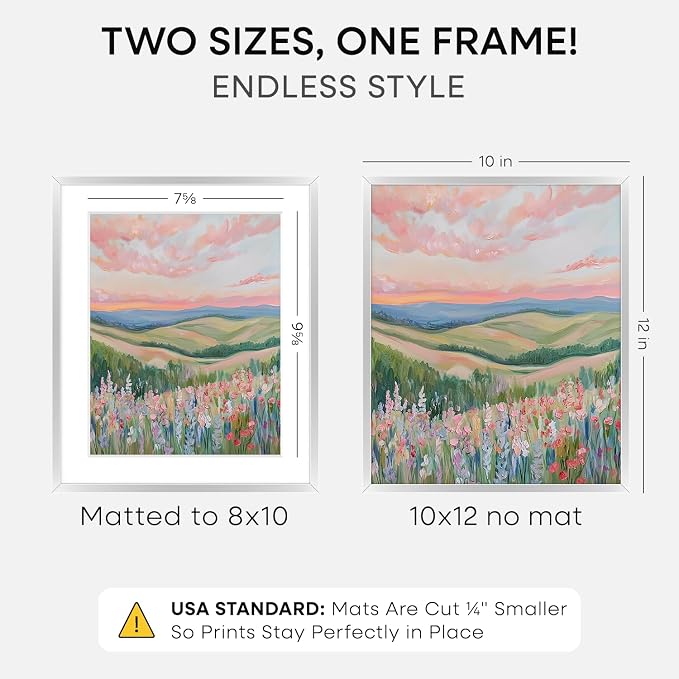 Homeforia 10x12 Picture Frame Silver, High End Metal 10x12 Frames with Mat 8x10, 10 x 12 Silver Poster Frame Matted to 8 x 10 inch Photo, 10by12 Thin Hanging Frames, Tempered Glass, Wall Kit, Set of 2