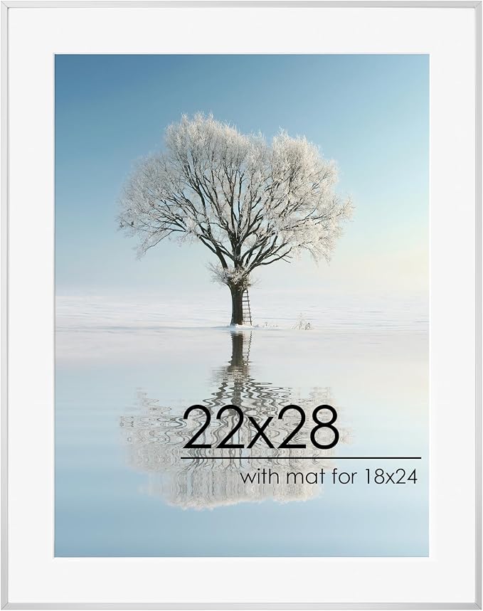 FLYJOE 22x28 Metal Picture Frame For Wall With Mat For 18x24, 22''x28'' Aluminum Photo Frames With Tempered Glass, Minimalist Modern Poster Frame Horizontal And Vertical Formats, Silver